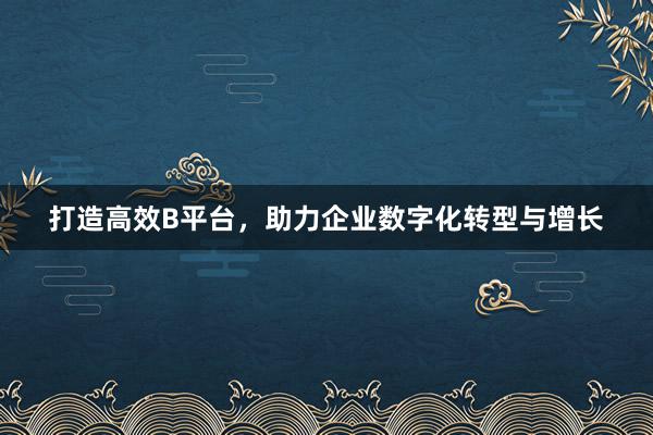 打造高效B平台，助力企业数字化转型与增长