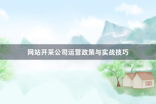 网站开采公司运营政策与实战技巧