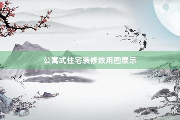公寓式住宅装修效用图展示