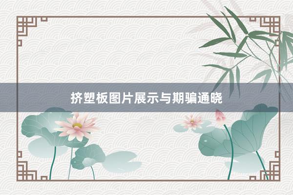 挤塑板图片展示与期骗通晓