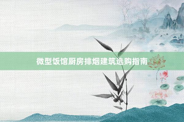 微型饭馆厨房排烟建筑选购指南