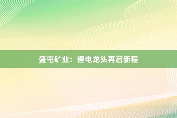盛屯矿业：锂电龙头再启新程